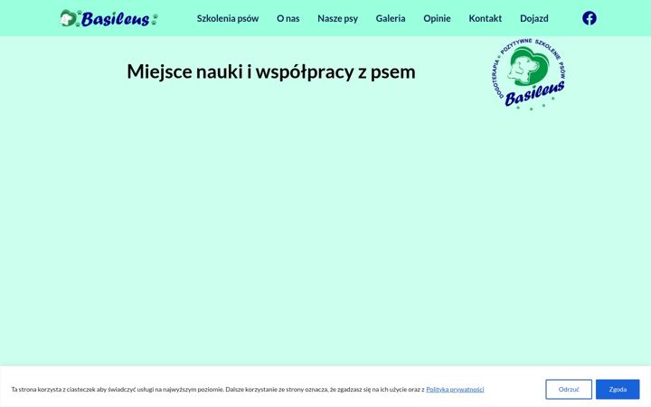 Screenshot of basileus.com.pl