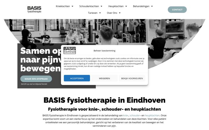 Zrzut ekranu basisfysiotherapie.nl