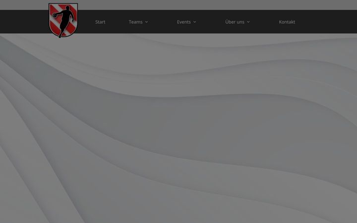 Screenshot von basketball-ehingen.de