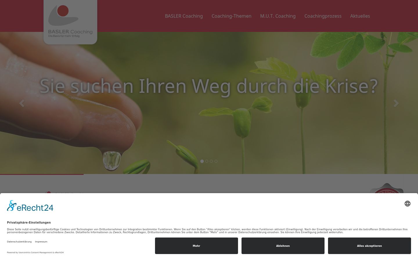 Screenshot des Einwilligungsbanners vor jeglicher Interaktion