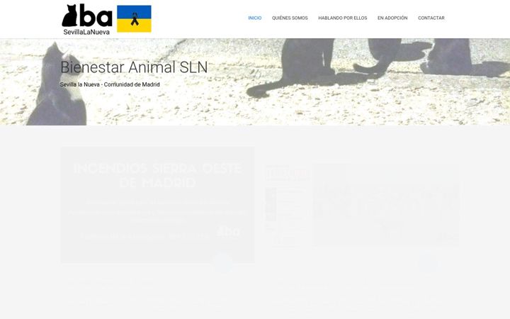 Screenshot of basln.org