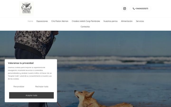 Screenshot of basqueunicorn.es