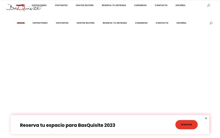 Screenshot of basquisite.com