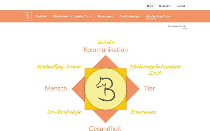 Screenshot of bass-ruth.de