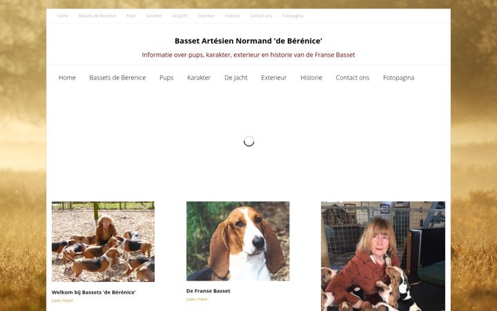 Screenshot of bassetartesiennormand.com