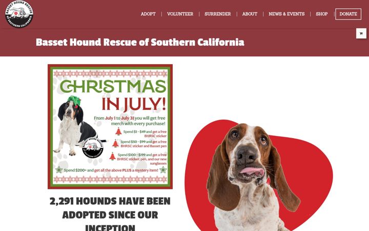 Screenshot of bassethoundrescue.org