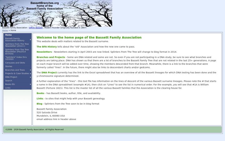 Screenshot of bassettbranches.org