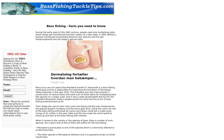 Screenshot of bassfishingtackletips.com
