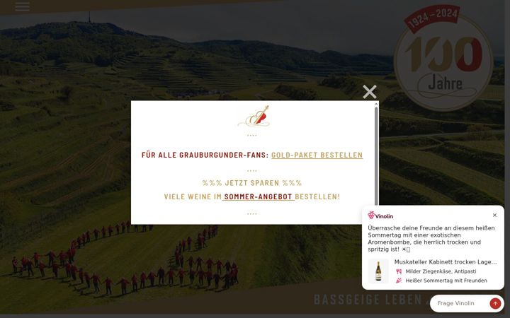 Képernyőkép: bassgeige-wein.de