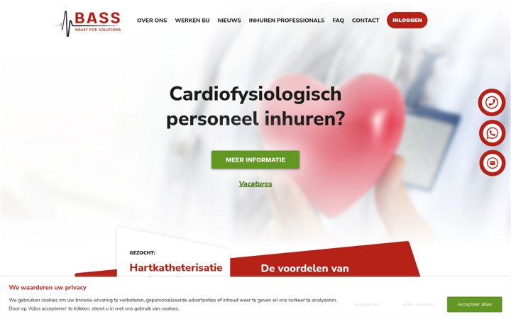 Screenshot of bassheartforsolutions.nl