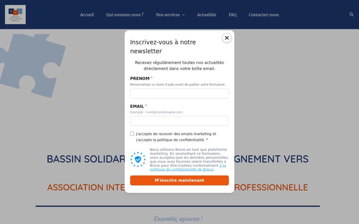 Screenshot of bassin-solidarite-emploi.fr