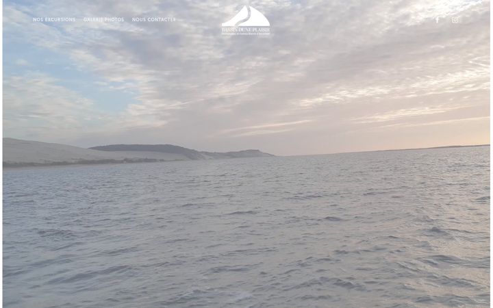 Screenshot of bassinduneplaisir.com