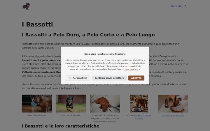 Screenshot of bassotto.it