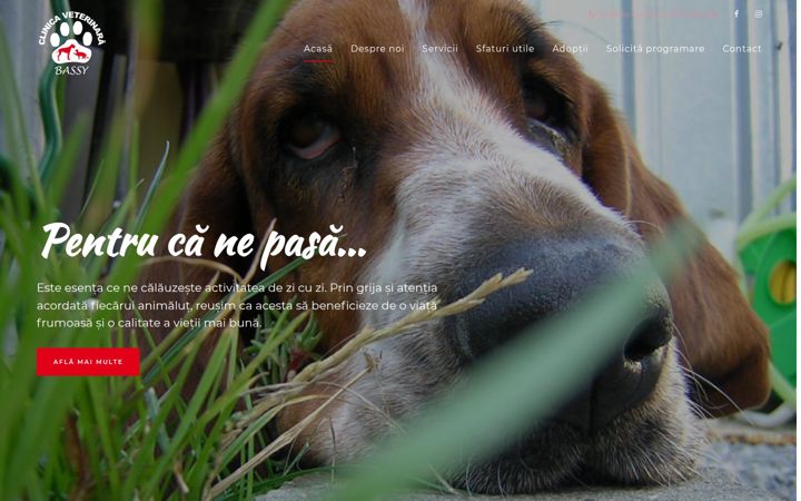 Screenshot of bassy-vet.ro