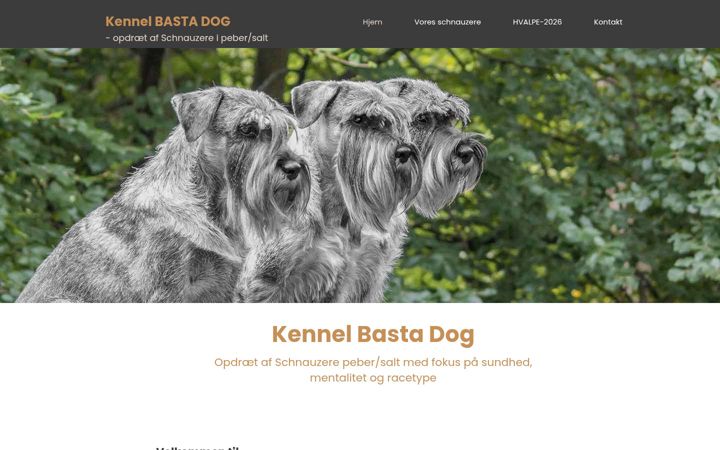 Screenshot of bastadog.dk