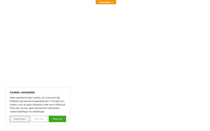 Screenshot of bastianbuus.dk