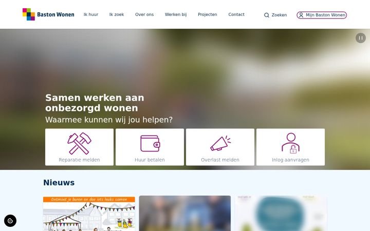 Zrzut ekranu baston.nl