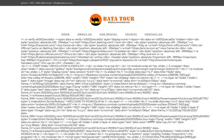 Screenshot of batatour.com