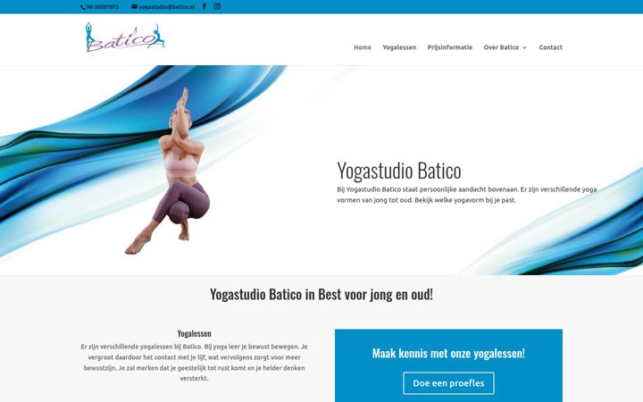 Screenshot of batico.nl