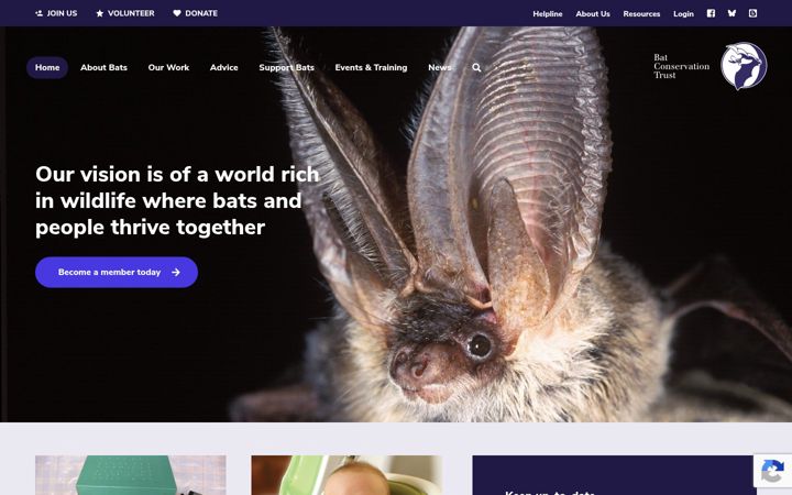 Képernyőkép: bats.org.uk