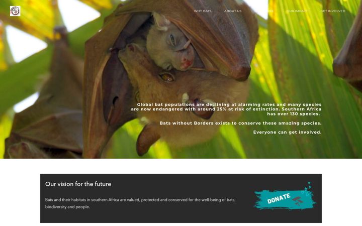 Screenshot του batswithoutborders.org