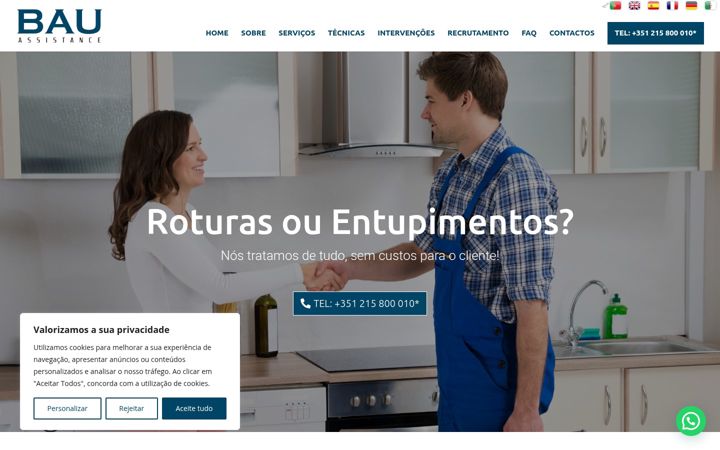 Screenshot of bau-assistance.com