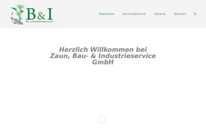 Screenshot of bau-u-industrieservice.de