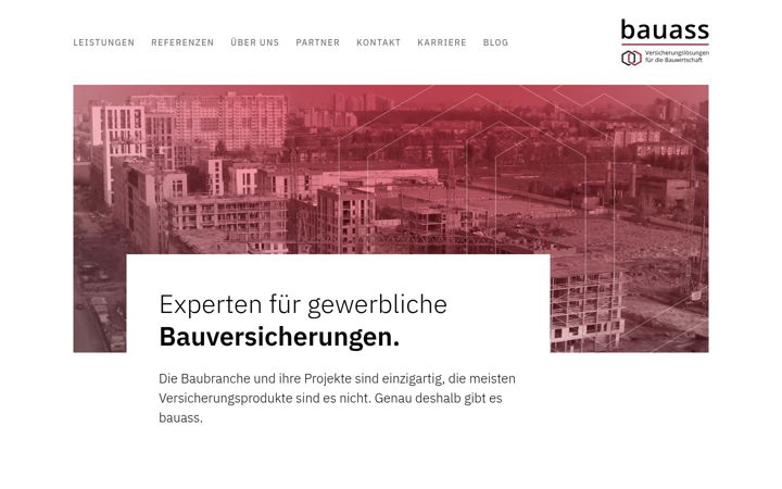 Zrzut ekranu bauass.com