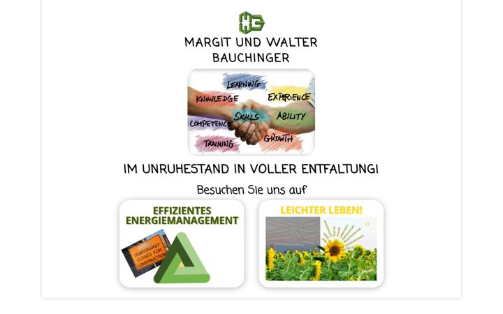 Screenshot of bauchinger.at