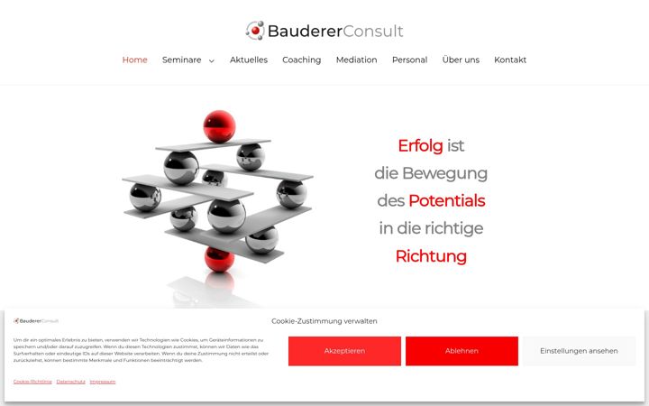 Skærmbillede af baudererconsult.de