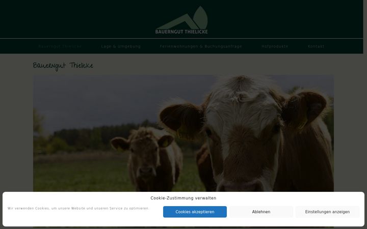 Zrzut ekranu bauerngut-thielicke.de