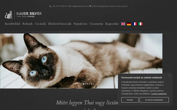 Screenshot di bauersilver.hu