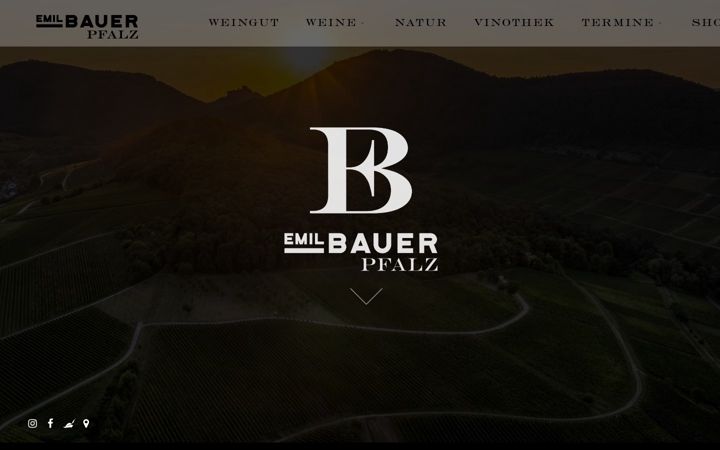 Screenshot of bauerwein.de