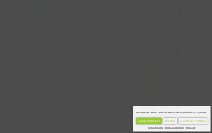 Screenshot of bauhilfe.at
