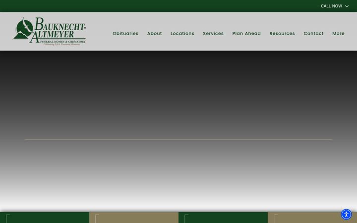 Screenshot of bauknechtaltmeyer.com