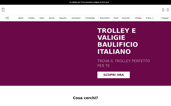 Screenshot stránky baulificioitaliano.org