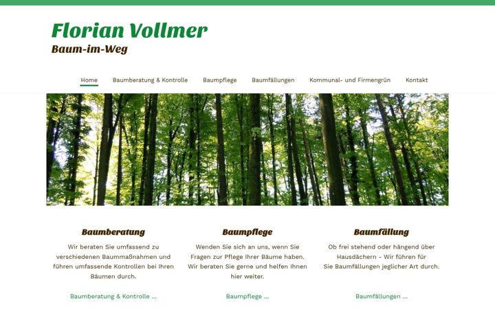 Екранна снимка на baum-im-weg.de