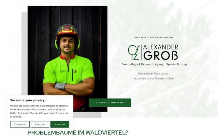 Screenshot of baumabtragungen-gross.at