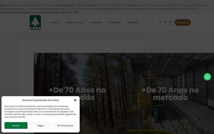 Screenshot van baumadeiras.com.br