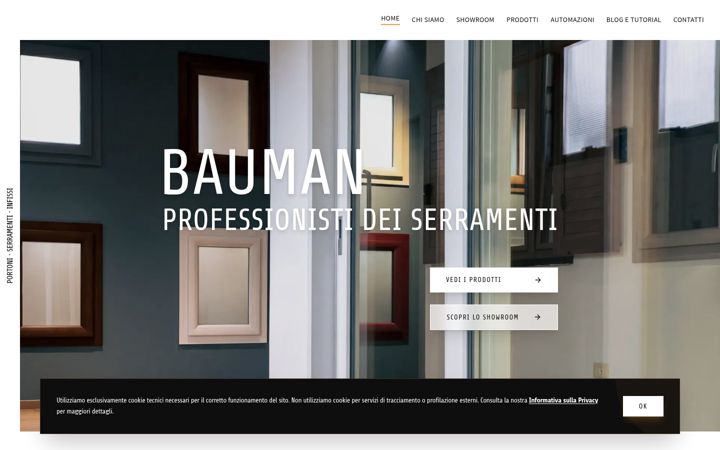 Screenshot of bauman.tn.it