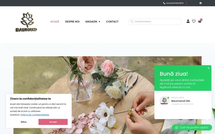 Screenshot of baumand.ro
