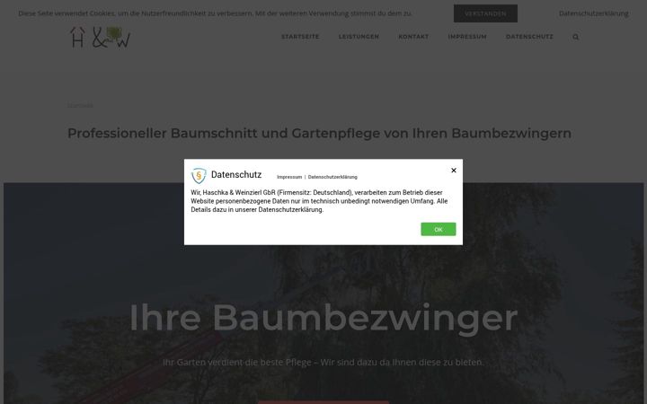 Screenshot ta' baumbezwinger.de
