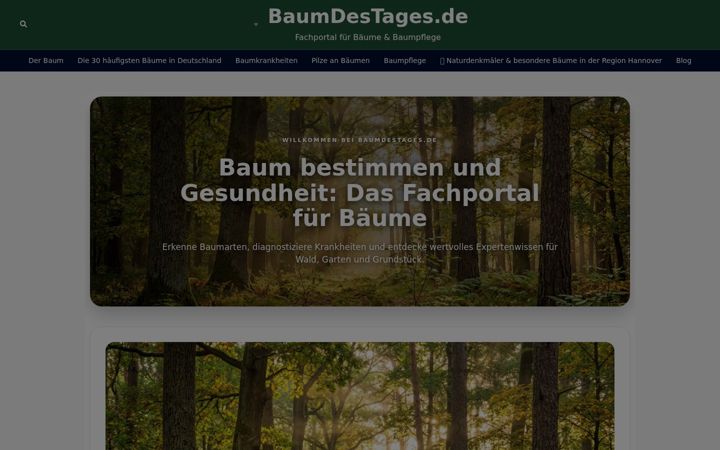 Screenshot ta' baumdestages.de