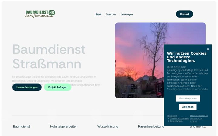 Screenshot of baumdienst-strassmann.de