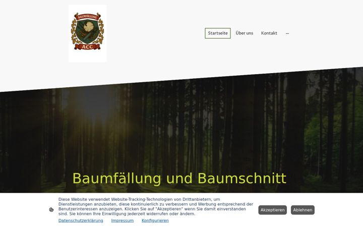 Skærmbillede af baumfaellungacc.de