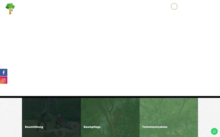 Screenshot of baumkletterer-dortmund.de