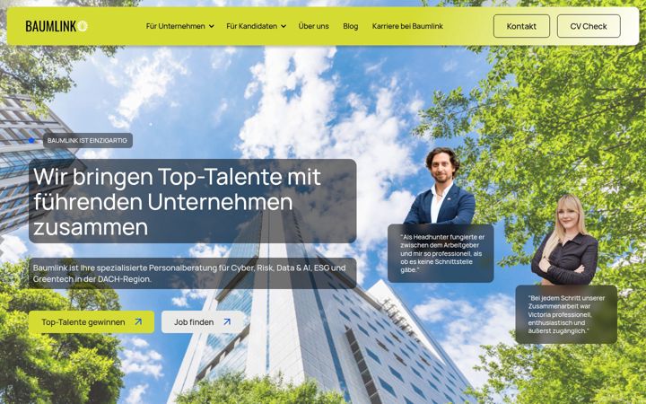 Screenshot of baumlink.com
