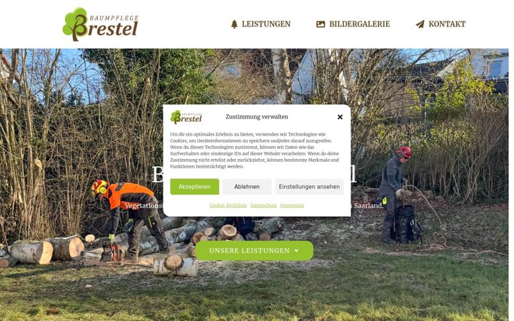 Screenshot of baumpflege-brestel.de