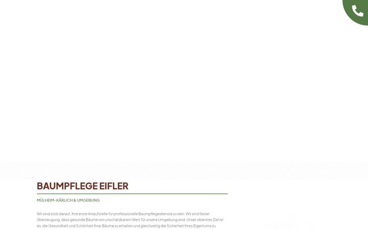 Screenshot of baumpflege-eifler.com