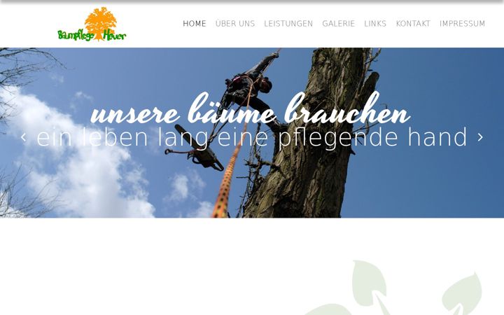 Screenshot von baumpflege-heuer.de